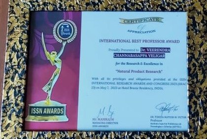 International Best Professor Award